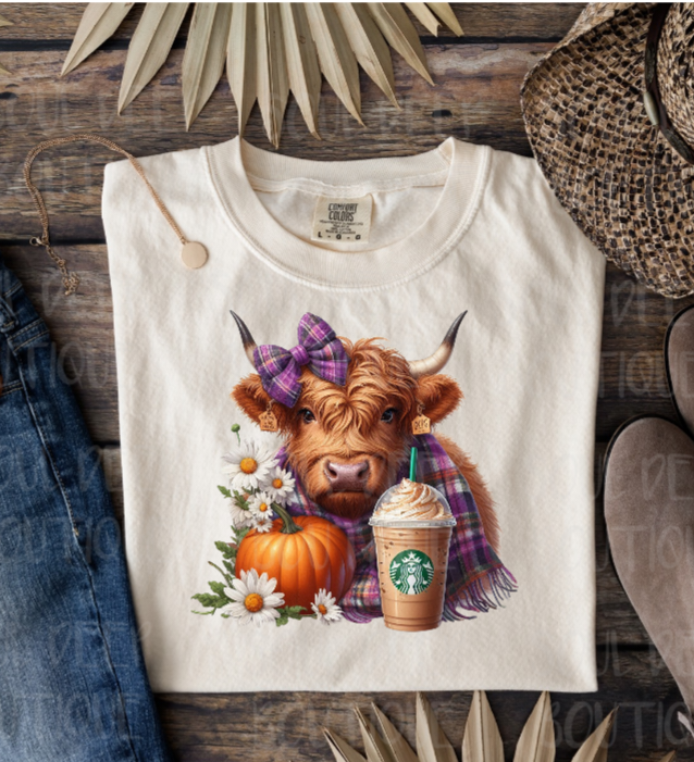 FALL HIGHLAND COW